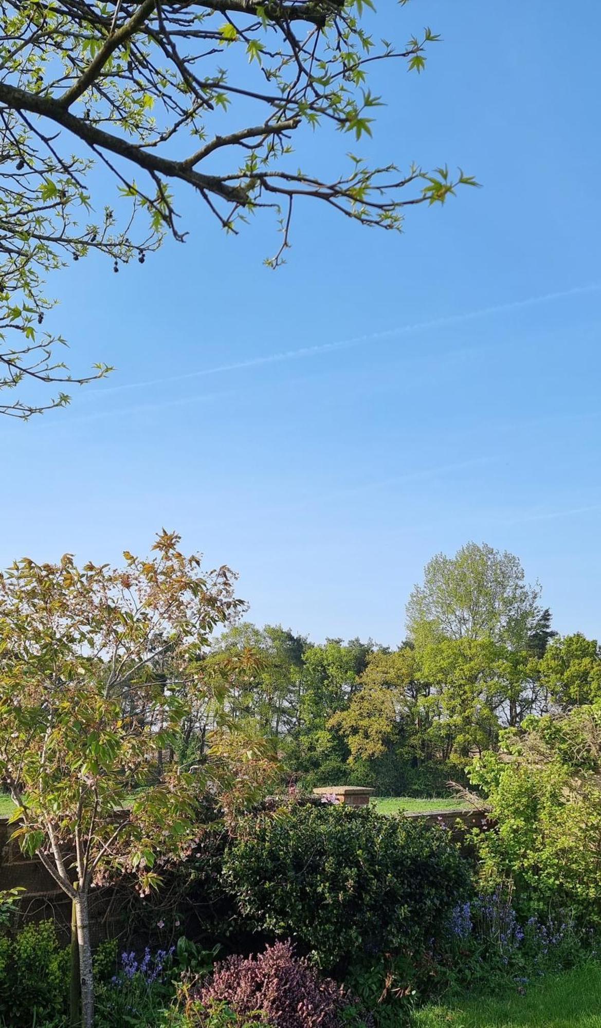 Begonia Cottage Briston Екстер'єр фото